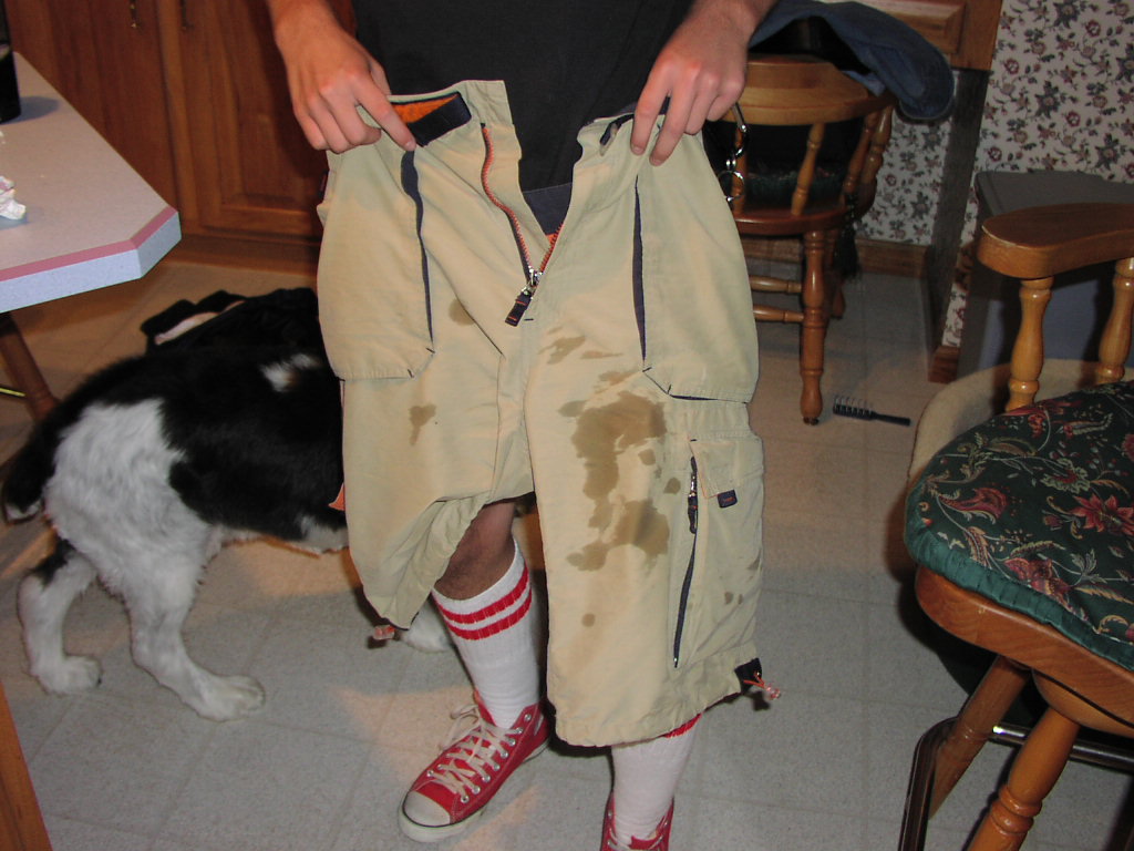 aftermath.jpg