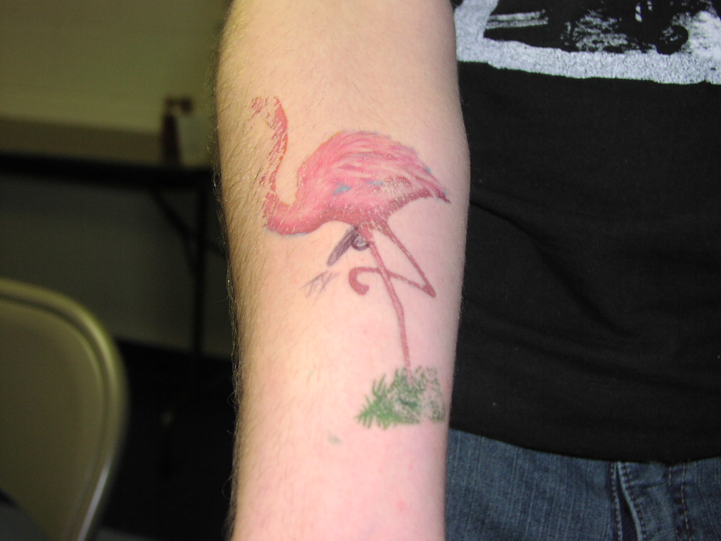 flamingodick.jpg